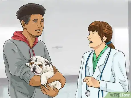 Imagen titulada Clean a Bulldog's Face Folds Step 15