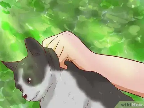 Imagen titulada Get a Cat out of a Tree Step 15