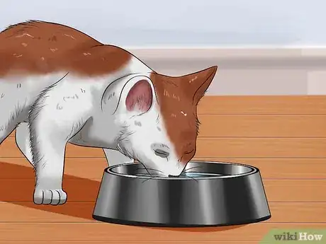 Imagen titulada Train a Kitten Step 14