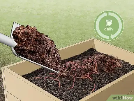 Imagen titulada Start a Worm Farm for Profit Step 6
