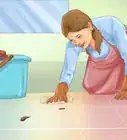 entrenar a tu perro o cachorro para usar una jaula