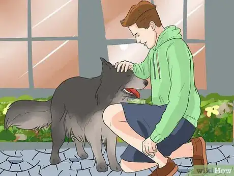 Imagen titulada Train Border Collies Step 5