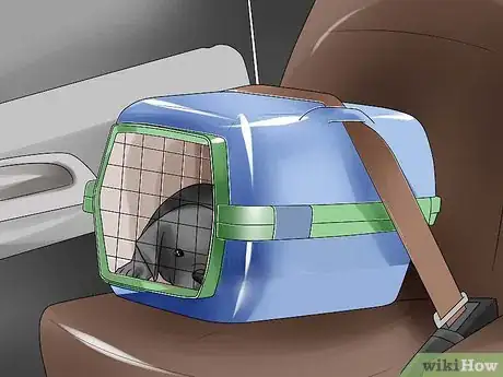 Imagen titulada Pick Up a Puppy Step 19