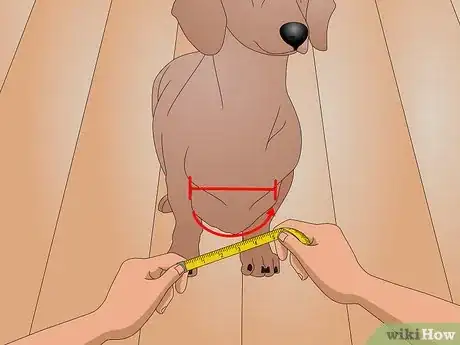 Imagen titulada Make a Dog Coat Step 3