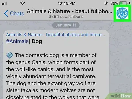 Imagen titulada Get a Group Link on Telegram on iPhone or iPad Step 11
