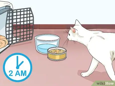 Imagen titulada Attract Cats Step 5