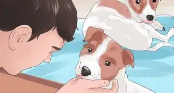 hacer que tu perro deje de aullar
