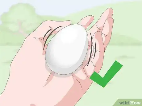 Imagen titulada Tell if Duck Eggs Are Dead or Alive Step 14