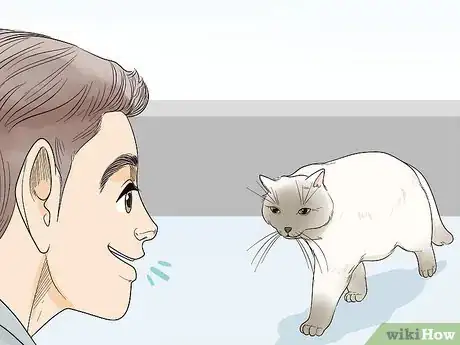 Imagen titulada Attract Cats Step 8