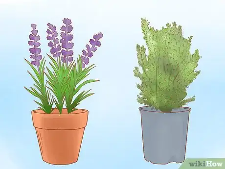 Imagen titulada Keep Dogs off Lawn Step 4
