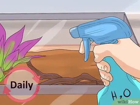 Imagen titulada Care for Slugs Step 11