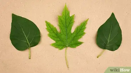 Imagen titulada Paint Leaves Step 3