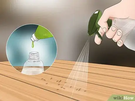 Imagen titulada Kill Ants in Your House Step 2