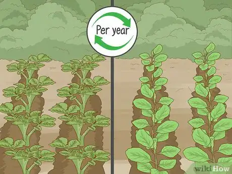 Imagen titulada Improve Soil Step 7