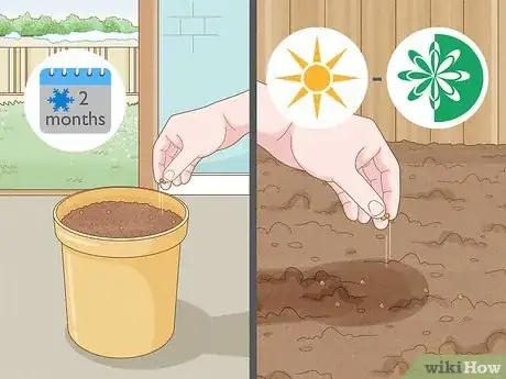 Imagen titulada Grow Bell Peppers Step 2