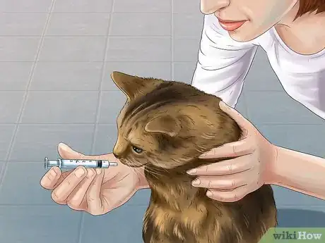Imagen titulada Save a Cat Attacked by Dogs Step 12
