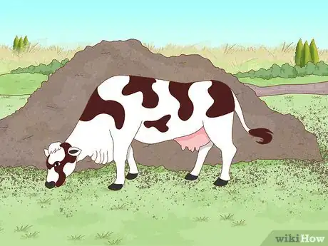 Imagen titulada Improve Soil Step 3