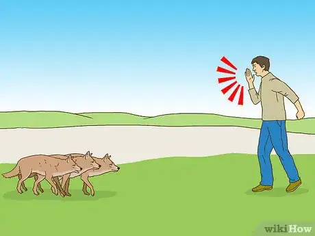Imagen titulada Act when Near a Coyote Step 7