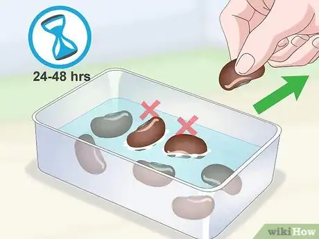 Imagen titulada Germinate Tree Seeds Step 9