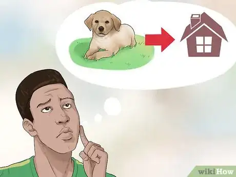 Imagen titulada Buy a Labrador Retriever Puppy Step 2