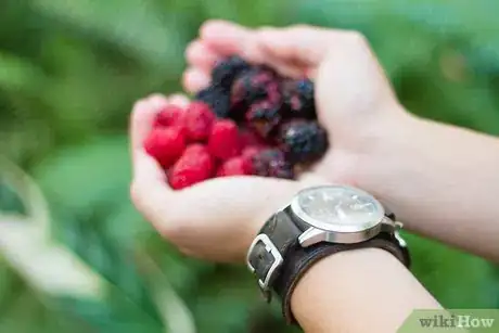 Imagen titulada Tell Raspberries and Blackberries Apart Step 3