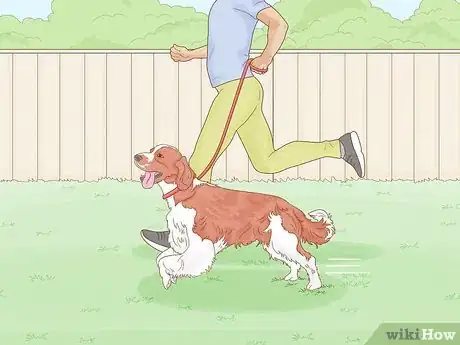 Imagen titulada Stop a Dog from Humping Step 7