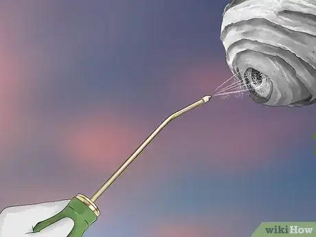 Imagen titulada Kill a Hornet Nest Step 11