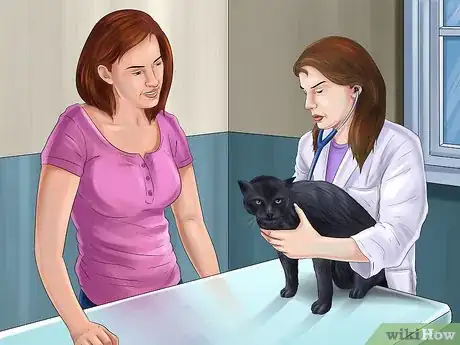 Imagen titulada Save a Cat Attacked by Dogs Step 11