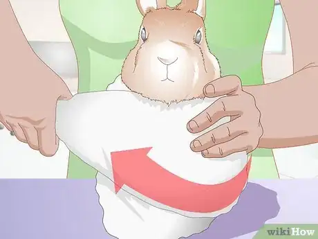 Imagen titulada Trim Rabbit Toenails Step 3