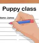 cuidar de un cachorro