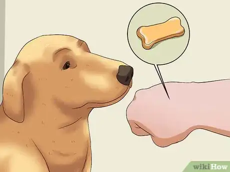 Imagen titulada Teach Your Dog Not to Get Into Garbage Cans Step 5