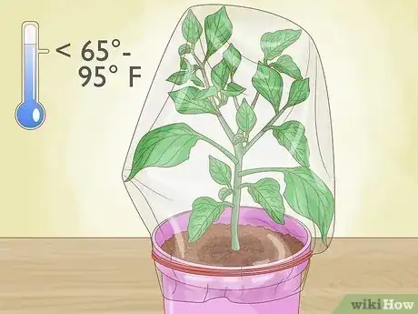 Imagen titulada Grow Bell Peppers Step 18