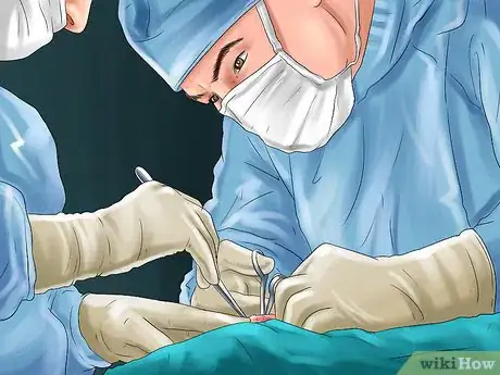 Imagen titulada Diagnose and Treat Dislocated Joints in Cats Step 4
