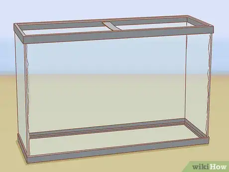 Imagen titulada Look After Terrapins Step 1