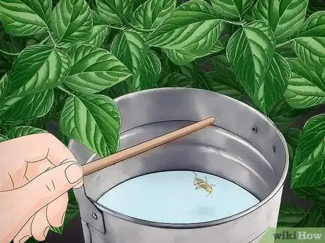 Imagen titulada Get Rid of Grasshoppers Step 3