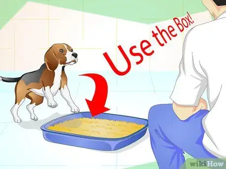 Imagen titulada Litter Train a Dog Step 9