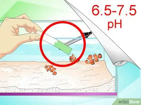 Imagen titulada Tell if Your Fish Is Sick Step 23
