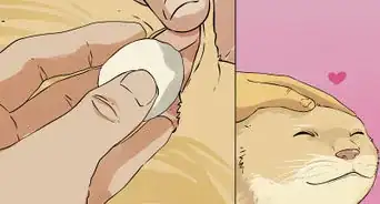 limpiar las orejas de tu gato