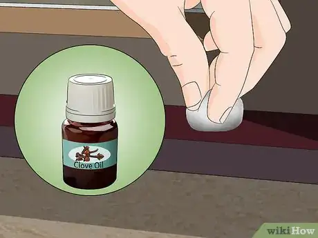 Imagen titulada Kill Ants Outside Step 11