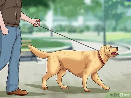 Imagen titulada Teach Your Dog Not to Get Into Garbage Cans Step 4