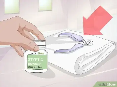 Imagen titulada Trim Rabbit Toenails Step 1