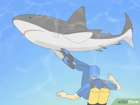 Imagen titulada Get over Your Fear of Sharks Step 9
