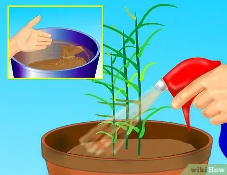 Imagen titulada Add Compost to Plants Step 17