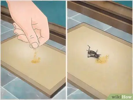 Imagen titulada Kill a Cricket that's Loose in Your House Step 1