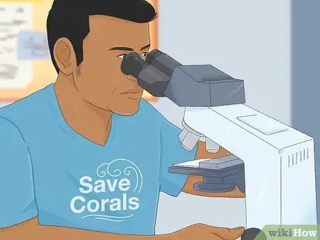 Imagen titulada Protect Coral Reefs Step 11