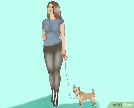 Imagen titulada Spoil a Chihuahua Step 10