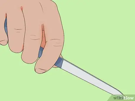 Imagen titulada File a Dog's Nails Step 1