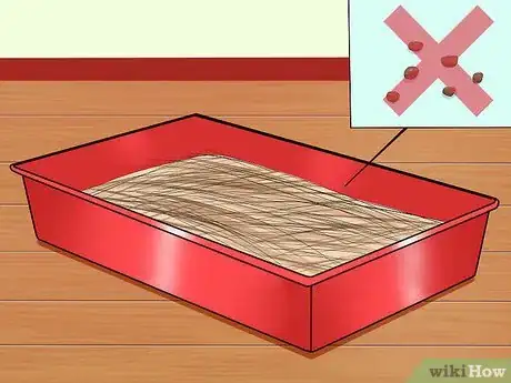 Imagen titulada Help a Constipated Guinea Pig Step 11