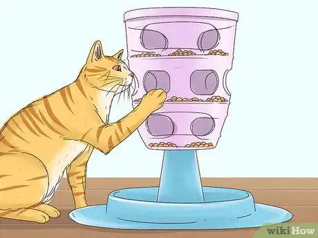 Imagen titulada Get a Cat to Stop Meowing Step 4