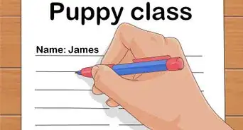 cuidar de un cachorro